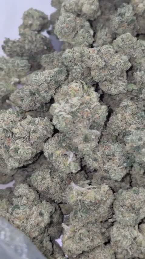 Toad Venom THCA flower buds